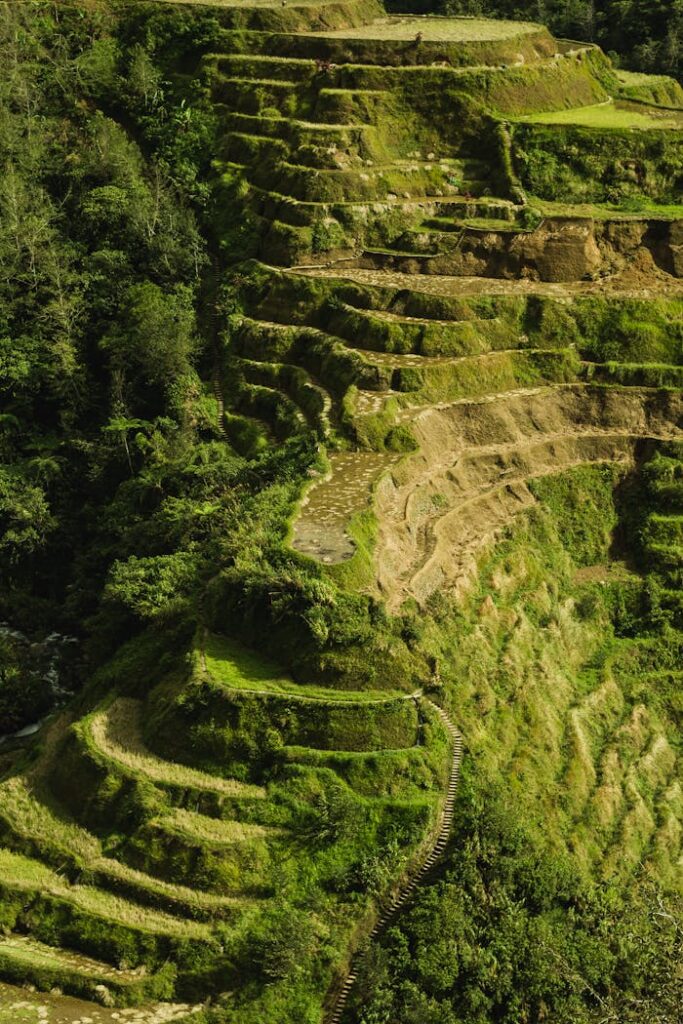 Aerial Photo Of Banaue Rice Terraces